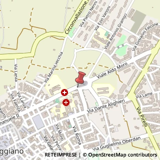 Mappa Viale Aldo Moro, 46, 70019 Triggiano, Bari (Puglia)