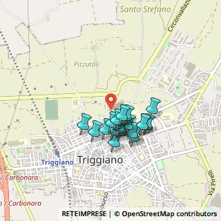 Mappa Via Giacomo Puccini, 70019 Triggiano BA, Italia (0.335)