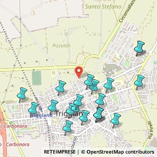 Mappa Via Giacomo Puccini, 70019 Triggiano BA, Italia (0.666)