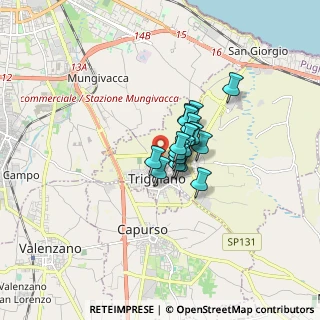 Mappa Via Giacomo Puccini, 70019 Triggiano BA, Italia (0.89)