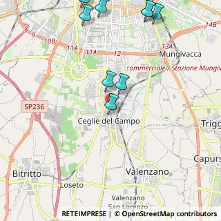Mappa Via Caterina Fontana, 70129 Bari BA, Italia (3.17091)