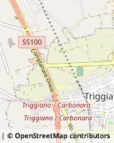 Ingegneri Triggiano,70019Bari