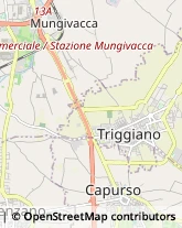 Ingegneri Triggiano,70019Bari