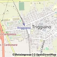 Karte Triggiano