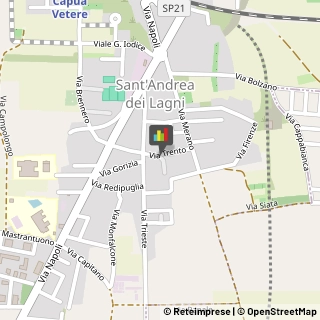 Fisiokinesiterapia - Medici Specialisti,81055Caserta