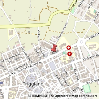 Mappa Viale Aldo Moro, 1, 70019 Triggiano, Bari (Puglia)