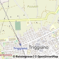 Kart Triggiano