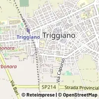 Kart Triggiano