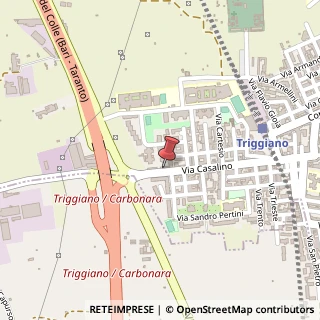 Mappa Via Giovanni Casalino, 164, 70019 Triggiano, Bari (Puglia)