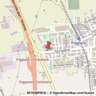 Mappa Via Niccol? Machiavelli, 25, 70019 Triggiano, Bari (Puglia)
