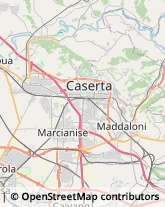 Provincia e Servizi Provinciali Canna,81020Cosenza