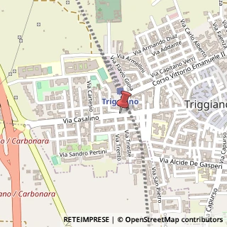Mappa Via Giovanni Casalino,  123, 70019 Triggiano, Bari (Puglia)