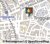 Centri per l'Impiego Triggiano,70019Bari