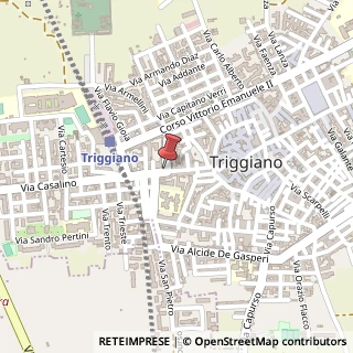 Mappa Via Giovanni Casalino, 58, 70019 Triggiano, Bari (Puglia)