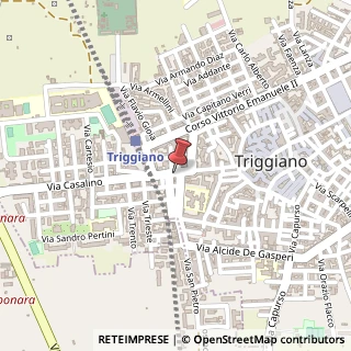 Mappa Via Giovanni Casalino, 95, 70019 Triggiano, Bari (Puglia)