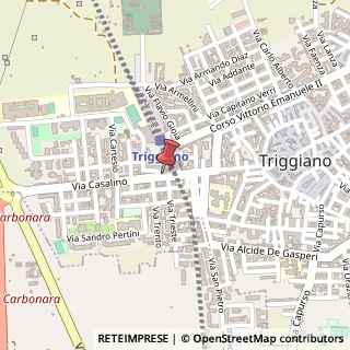 Mappa Via Giovanni Casalino, 98, 70019 Triggiano, Bari (Puglia)