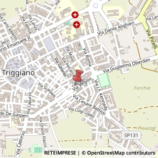 Mappa Via Virgilio, 102, 70019 Triggiano, Bari (Puglia)