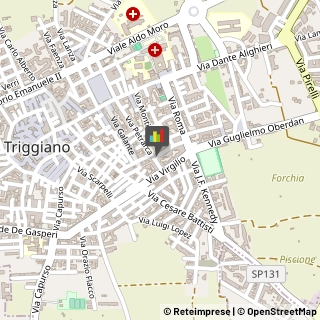 Feste - Organizzazione e Servizi,70019Bari