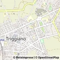 Hartă Triggiano