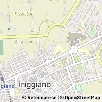 Kort Triggiano