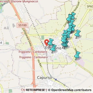 Mappa Via Michele di Zonno, 70019 Triggiano BA, Italia (1.12471)