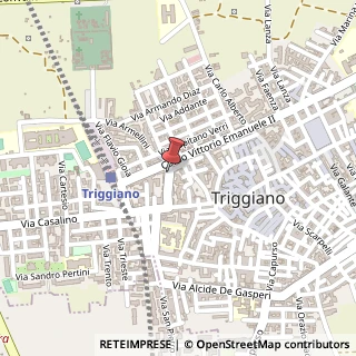 Mappa Via Alessandro Volta, 6, 70019 Triggiano, Bari (Puglia)