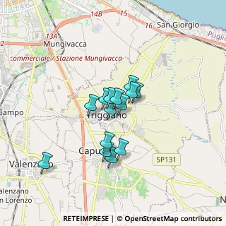 Mappa Via A.Manzoni, 70019 Triggiano BA, Italia (1.20643)