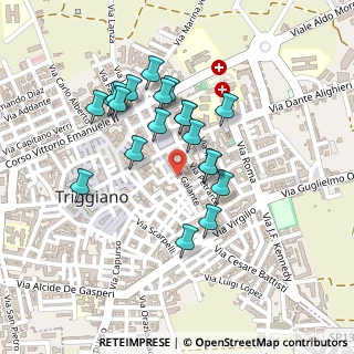 Mappa Via A.Manzoni, 70019 Triggiano BA, Italia (0.21)
