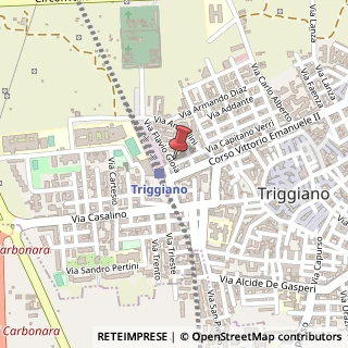 Mappa Via Capitano Verri, 122, 70019 Triggiano BA, Italia, 70019 Triggiano, Bari (Puglia)