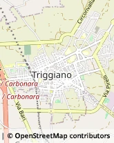 Avvocati Triggiano,70019Bari