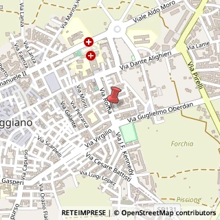 Mappa Via Roma, 55, 70019 Triggiano, Bari (Puglia)