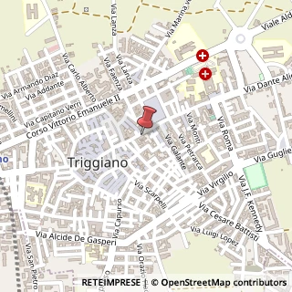 Mappa Via Dante Alighieri, 38, 70019 Triggiano, Bari (Puglia)