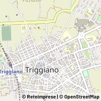 Peta Triggiano
