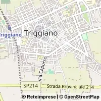 Kaart Triggiano