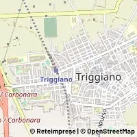 Kart Triggiano