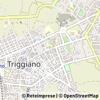 Map Triggiano