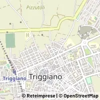 Kart Triggiano