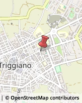 Via Dante Alighieri, 158,70019Triggiano