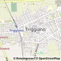 Map Triggiano