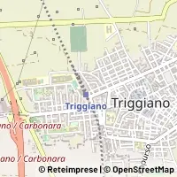 Karte Triggiano