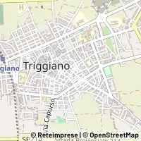 Map Triggiano