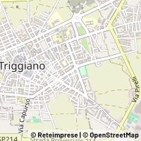 지도 Triggiano