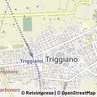 Kort Triggiano