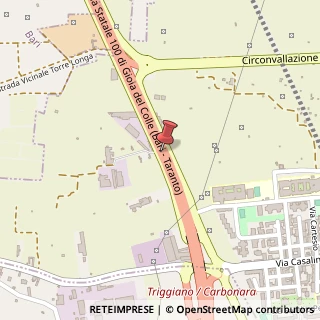 Mappa Strada Statale 100, Km7.800, 70019 Triggiano, Bari (Puglia)