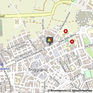 Assicurazioni Triggiano,70019Bari