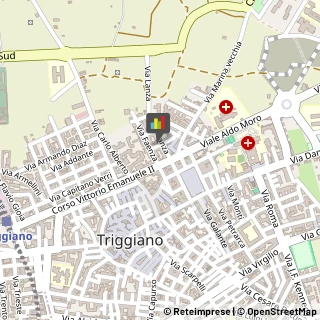 Macellerie Triggiano,70019Bari