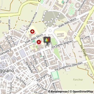 Frutta e Verdura - Dettaglio Triggiano,70019Bari