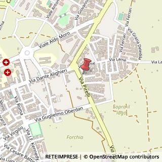 Mappa Via Filippo Brunelleschi, 2, 70019 Triggiano BA, Italia, 70019 Triggiano, Bari (Puglia)