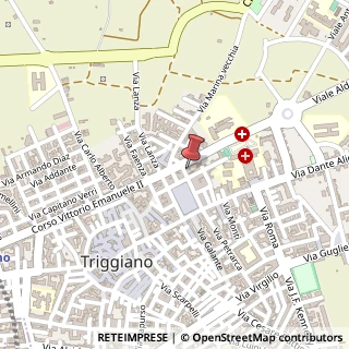 Mappa Via del Carmelo, 4, 70019 Triggiano, Bari (Puglia)