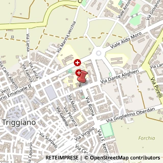 Mappa Via Dante Alighieri, 131, 70019 Triggiano, Bari (Puglia)